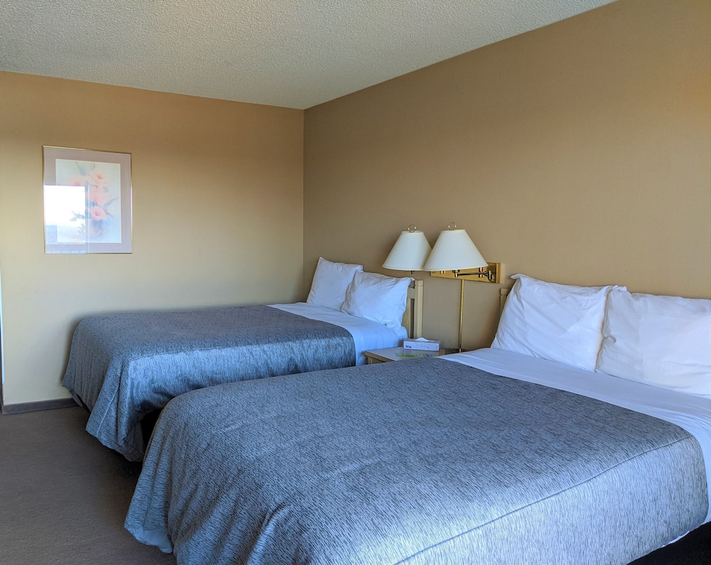 Standard Two Double Room photo 1