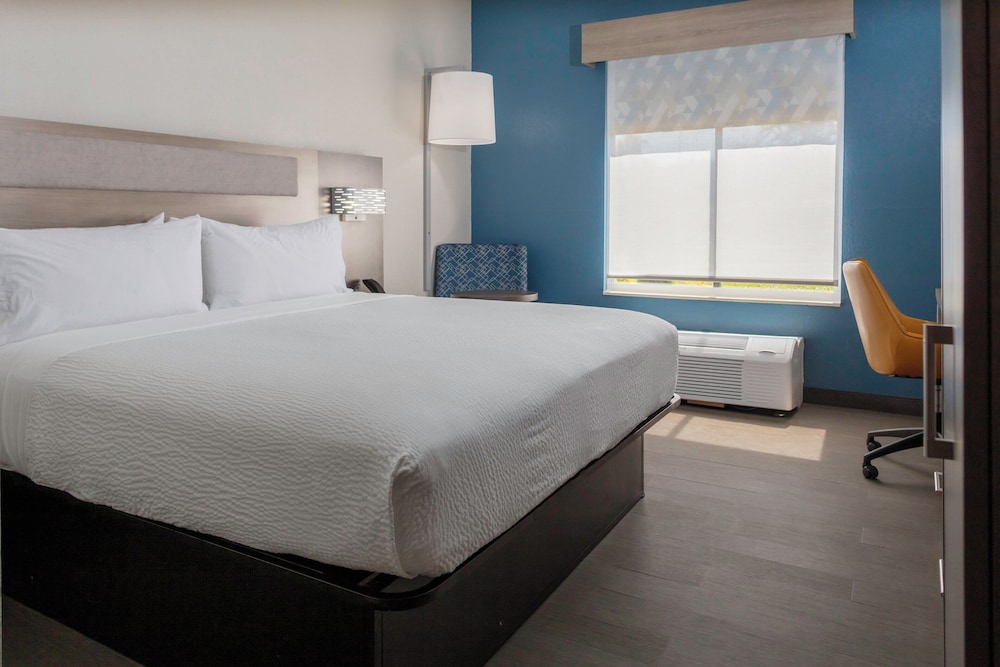 Standard Room, 1 King Bed, Accessible - Photo 4