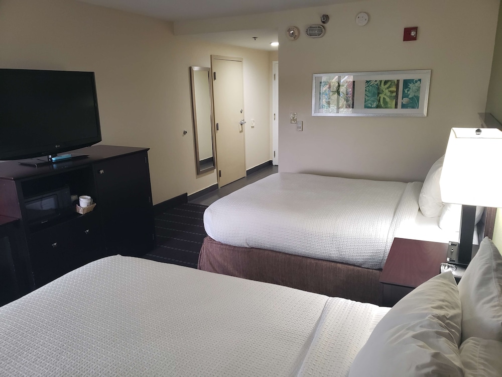 Standard Room, 2 Queen Beds, Non Smoking, Refrigerator & Microwave - Photo 3
