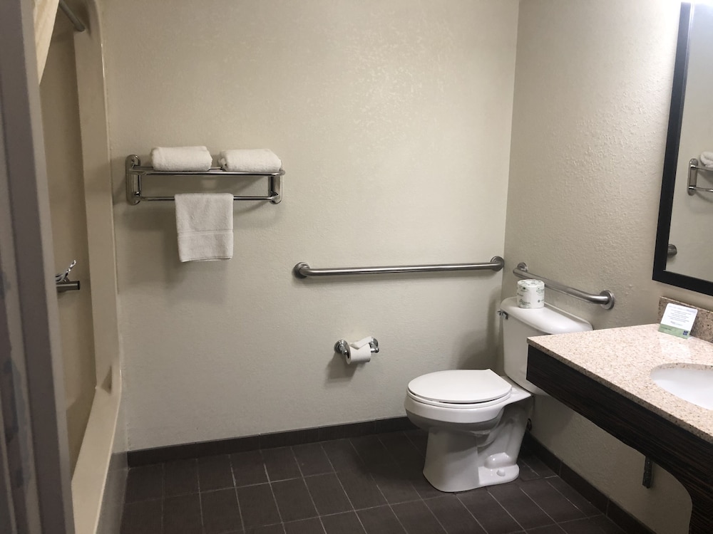 Standard Room, 1 King Bed, Non Smoking, Refrigerator & Microwave - Photo 9