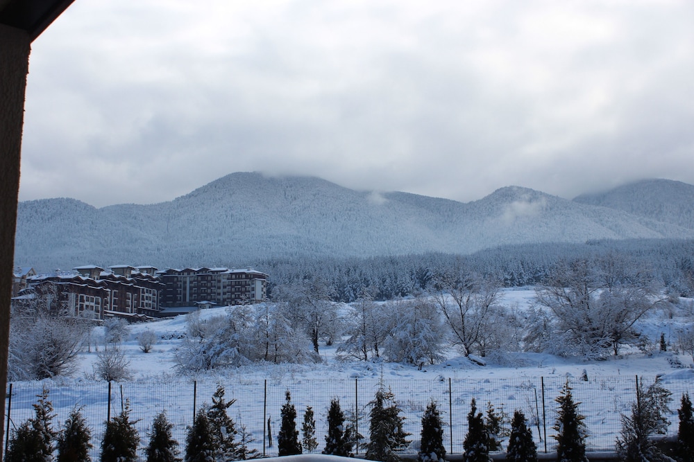 Classic Apartment, 1 Bedroom, Accessible, Mountain View