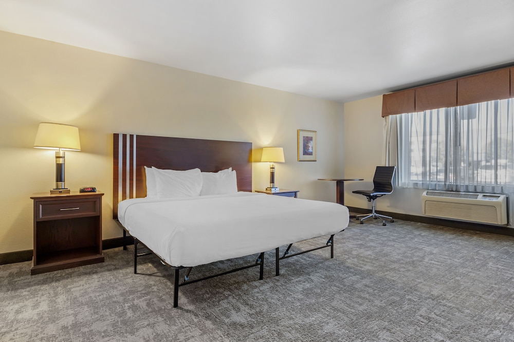 Standard Suite, 1 King Bed, Non Smoking