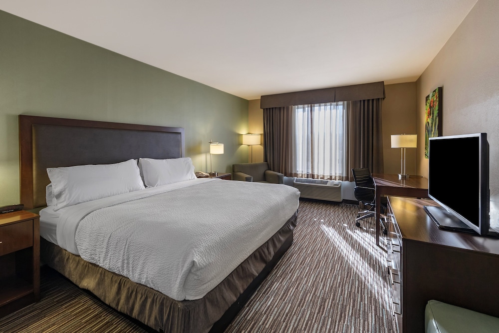 Suite, 1 King Bed (Additional Living Area) photo 3