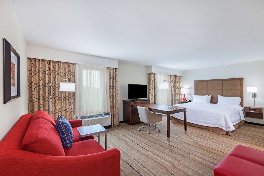 Suite, 1 King Bed, Accessible, Non Smoking (Roll In Shower) photo 1