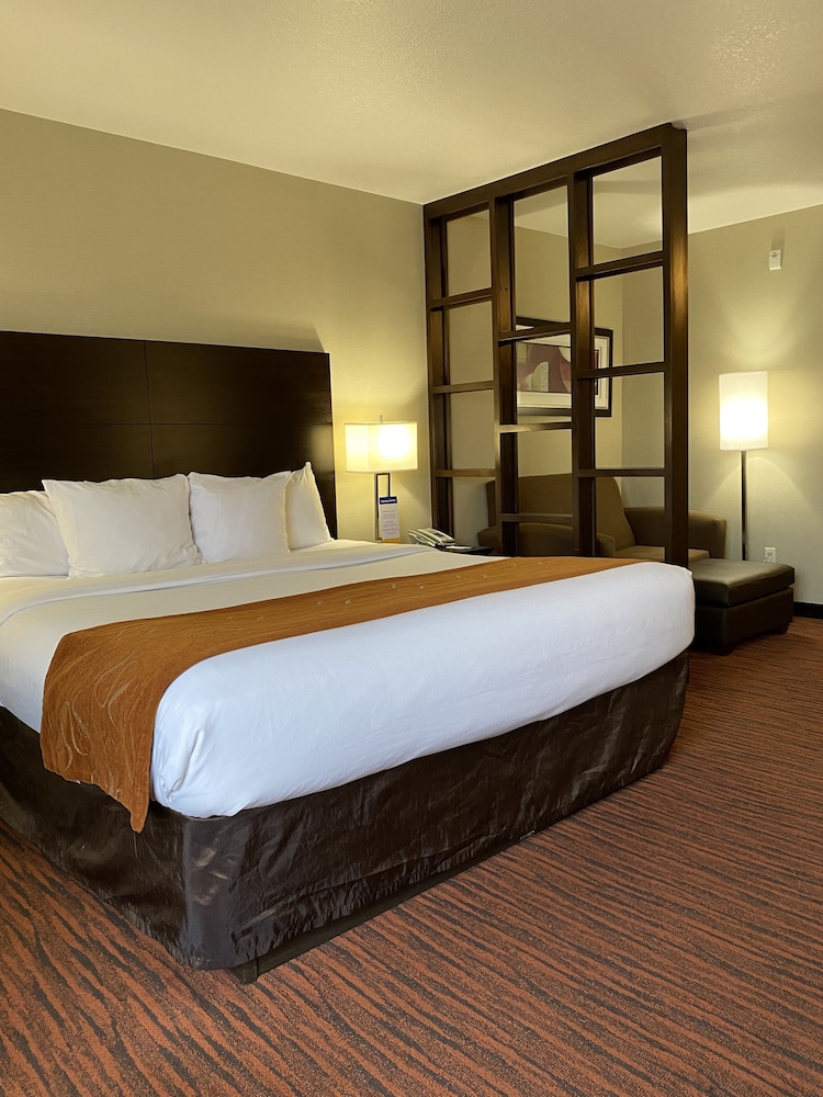 Suite, 1 King Bed with Sofa bed photo 3