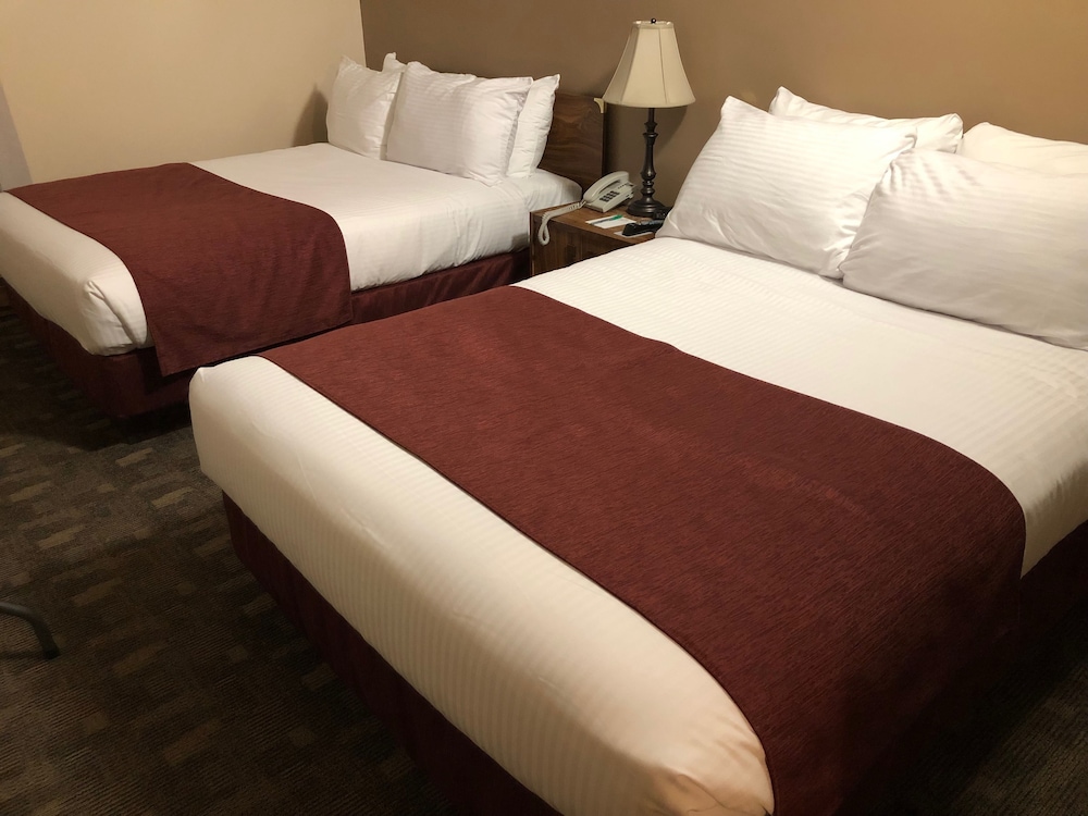 Deluxe Suite, 2 Double Beds, Kitchen photo 2