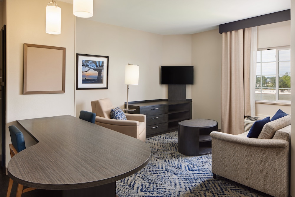 Suite, 1 Bedroom - Photo 2