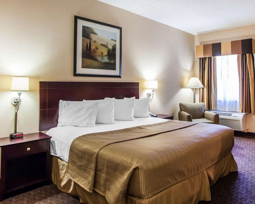 Standard Room, 1 King Bed, Non Smoking - Photo 1