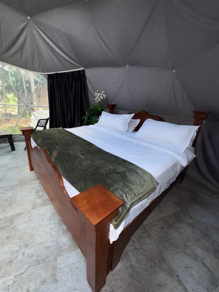 Signature Suite, Lake View