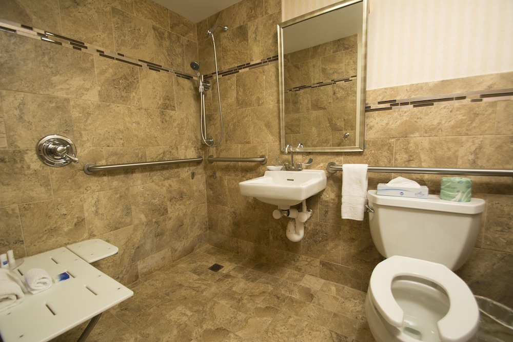 Standard Room, 1 Queen Bed, Accessible, Refrigerator & Microwave - Photo 4