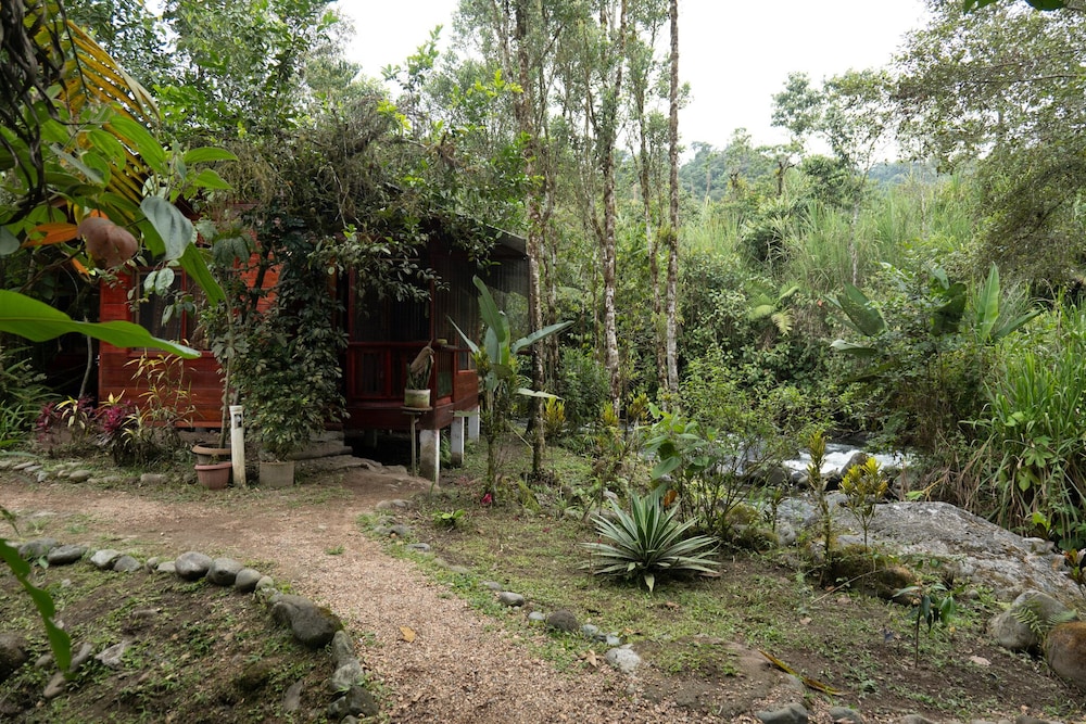 Cabin photo 3