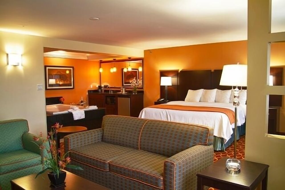 Deluxe Suite, 1 King Bed, Non Smoking photo 2
