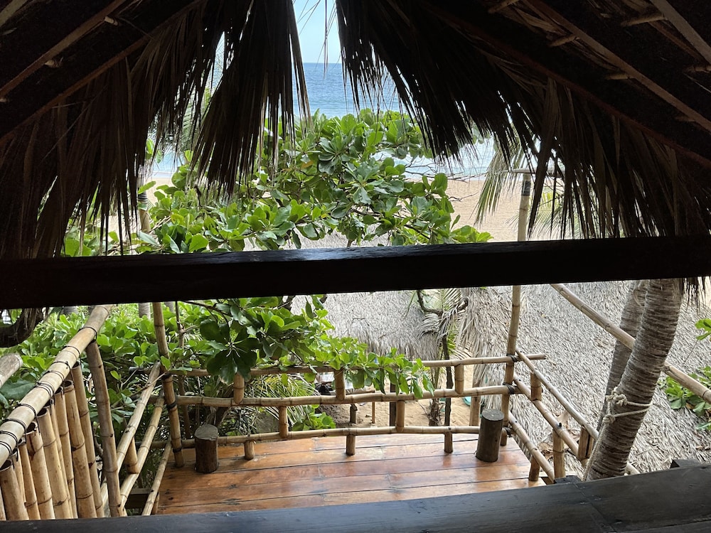 Palapa - Photo 7