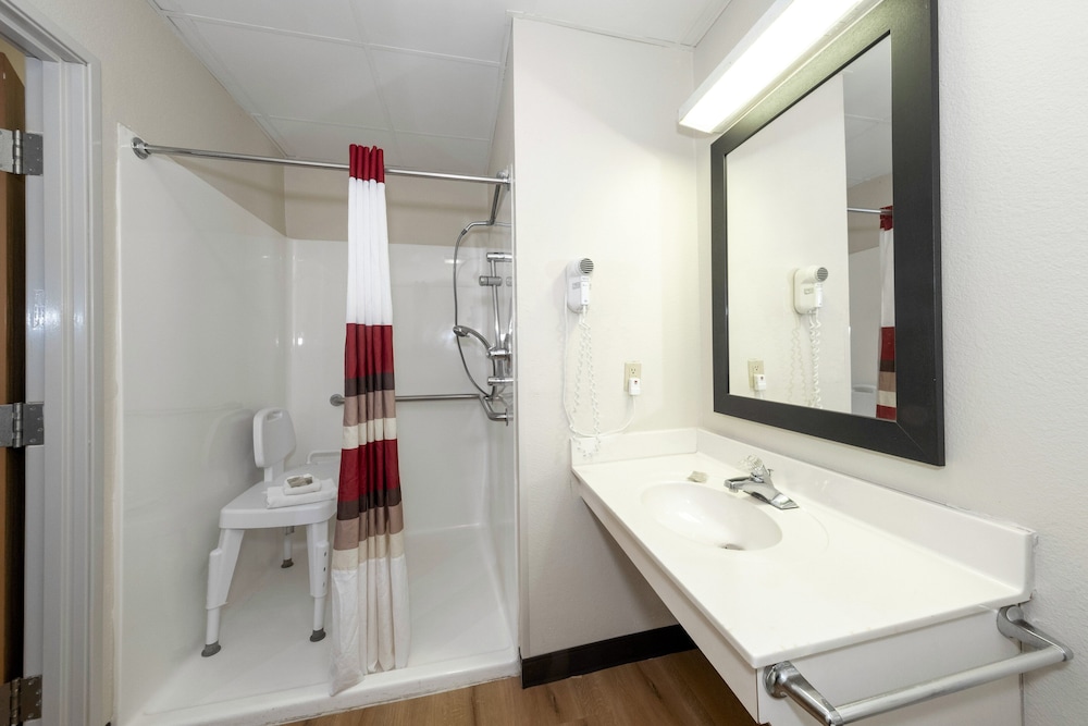 Deluxe Room, 1 King Bed, Accessible, Non Smoking (Roll-In Shower) - Photo 7