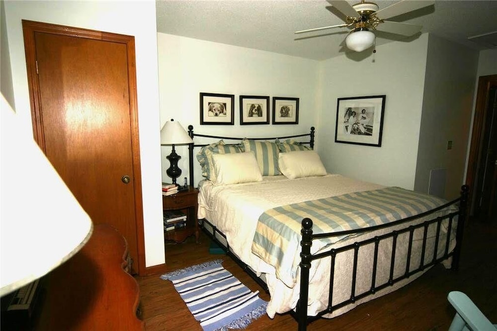 House, Multiple Beds (Green Parrot) photo 2