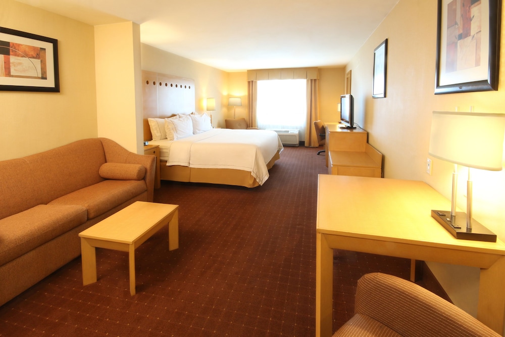 Suite, 1 Bedroom - Photo 2