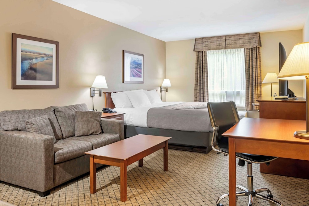Standard Room, 1 King Bed with Sofa bed, Non Smoking, Hot Tub