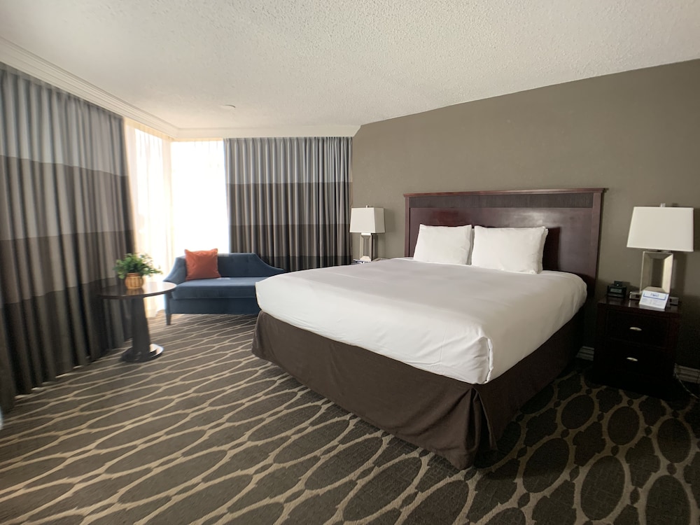 Room, 1 King Bed