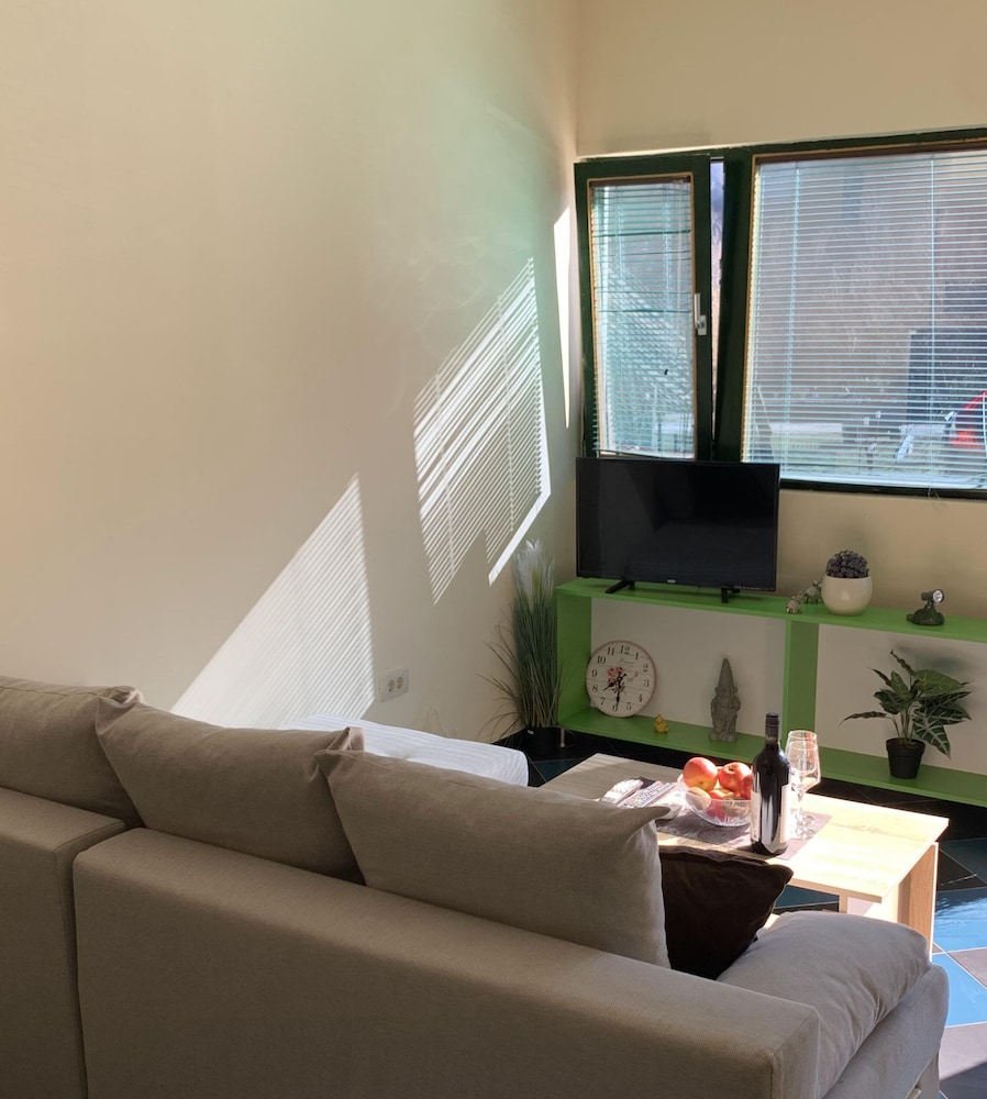 Apartment, 1 Bedroom (1)