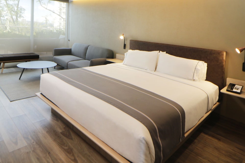 Suite, 1 Bedroom, Terrace - Photo 1