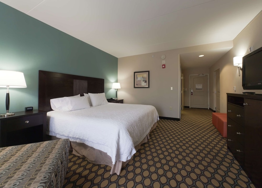 Room, 1 King Bed, Accessible, Bathtub (Mobility & Hearing) photo 3