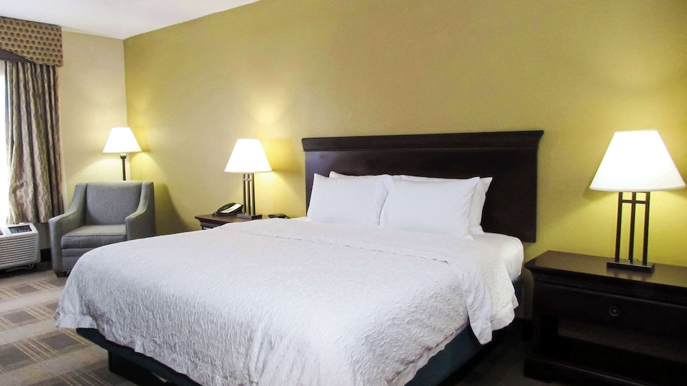 Room, 1 King Bed, Accessible, Non Smoking (w/ roll-in shower) - Photo 3