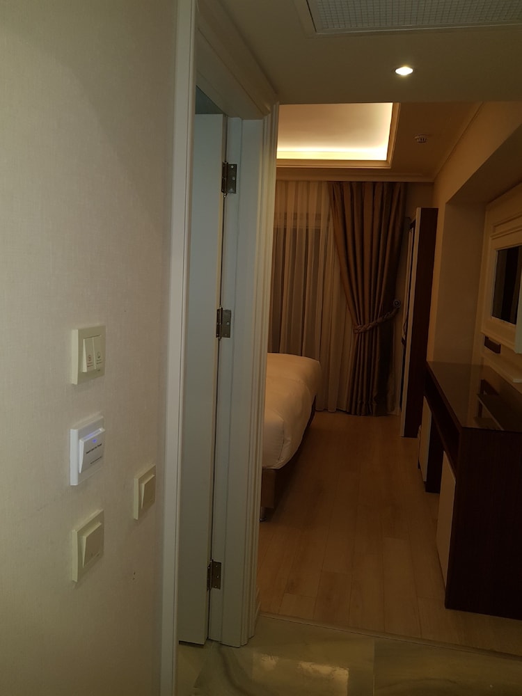 Deluxe Single Room, 1 Double Bed photo 3