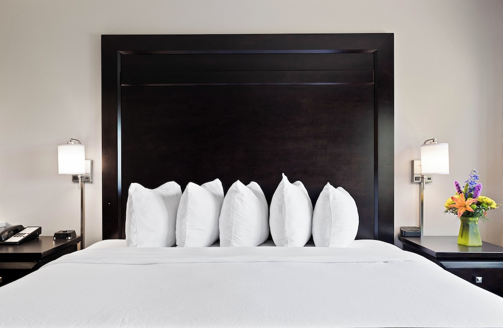 Deluxe Room, 1 King Bed (Executive King) - Photo 10