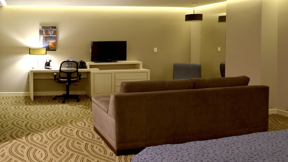 Suite, 1 King Bed photo 3