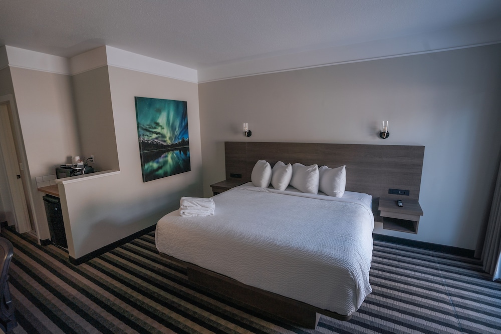 King Room (Pet Friendly) photo 1
