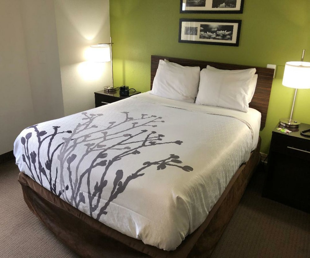 1 King Bed, Nonsmoking, Upgrade - Photo 10
