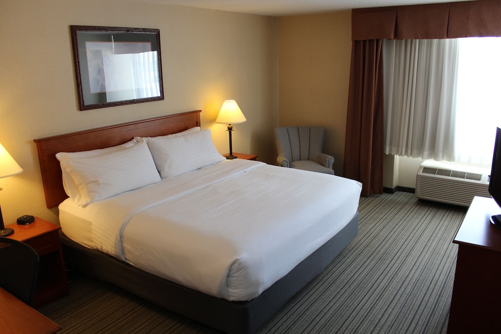 Room, 1 King Bed, Non Smoking