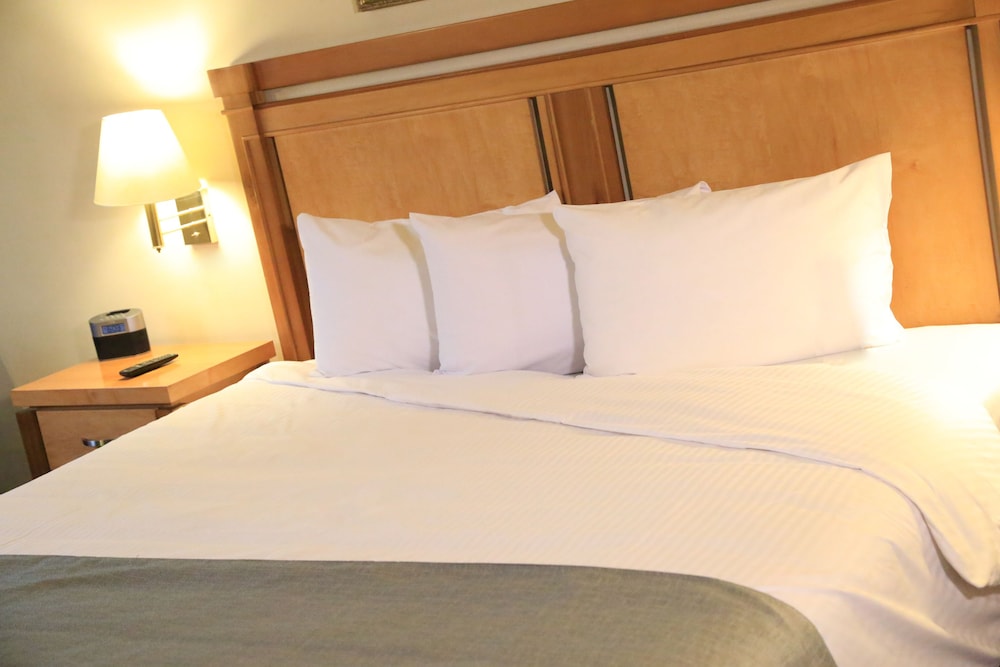Standard Room, 1 King Bed, Non Smoking photo 3