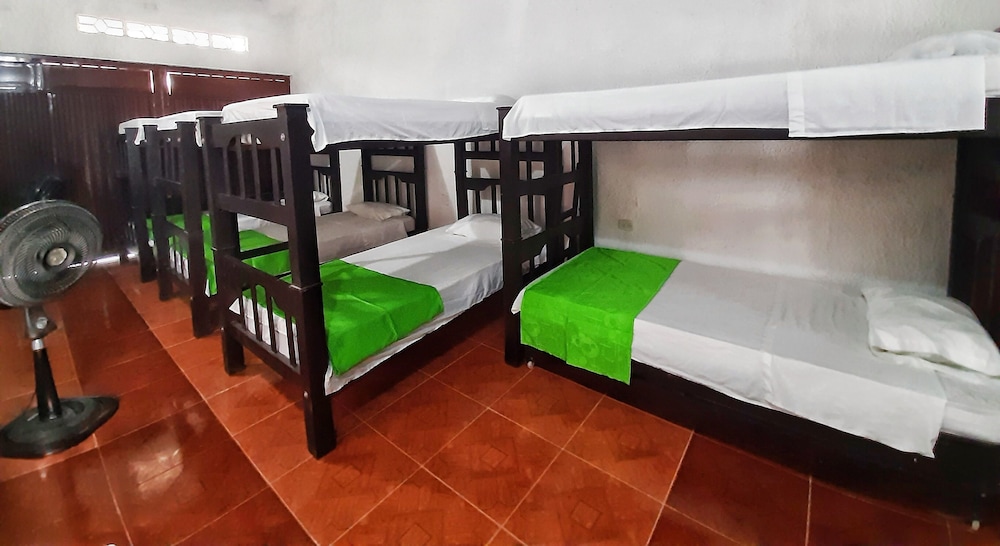 Basic Shared Dormitory, Mixed Dorm photo 3