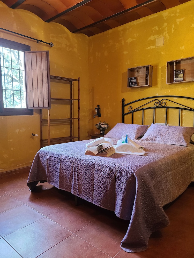 Casa Vacanze Calda con Piscina Privata nel Centro dell'Andalusia, Foto 52