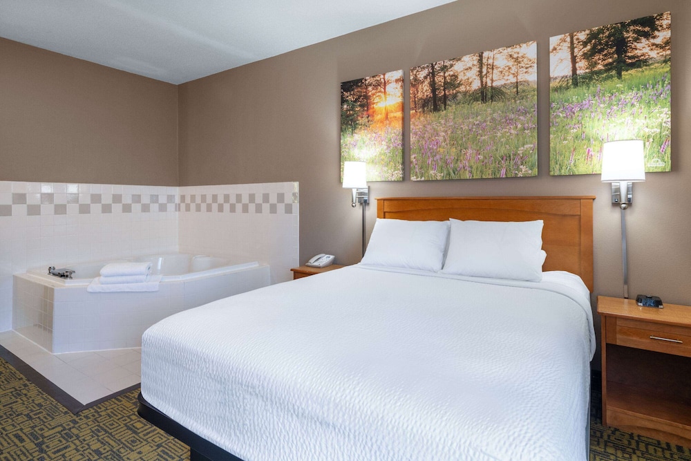 Deluxe Studio Suite, 1 Queen Bed, Non Smoking - Photo 5