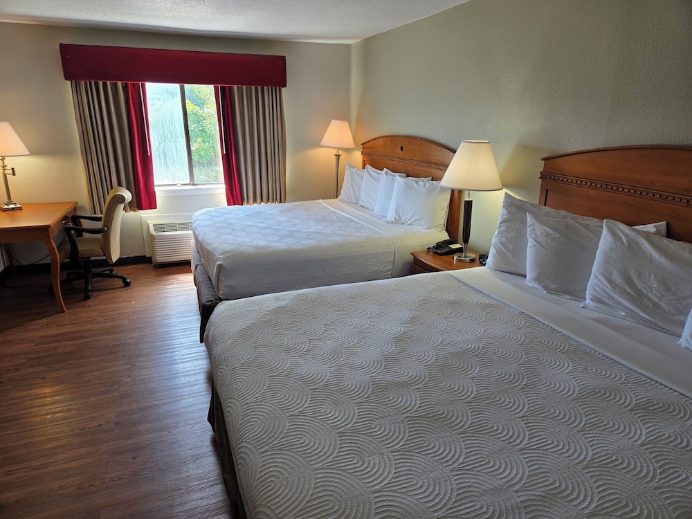 Family Quadruple Room, Multiple Beds photo 1