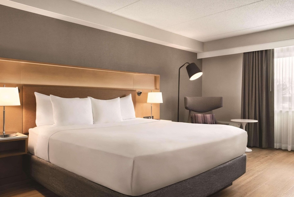 Room, 1 King Bed, Non Smoking photo 3
