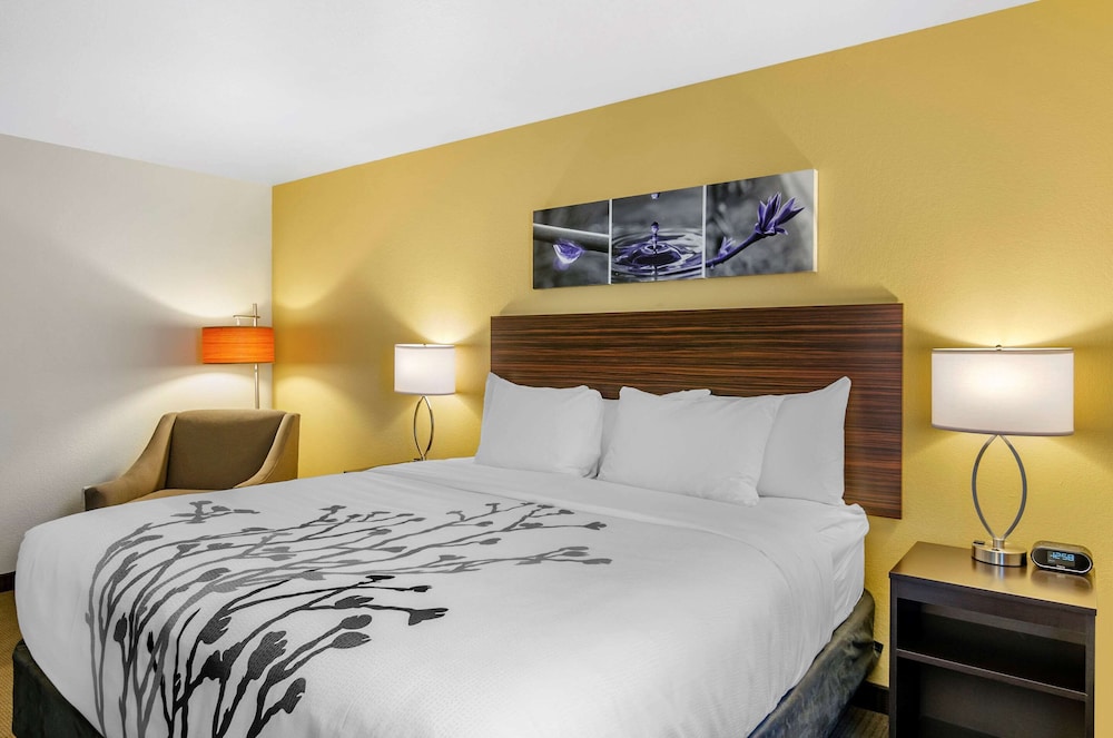 Standard Room, 1 King Bed, Accessible, Non Smoking (Roll-In Shower) - Photo 3