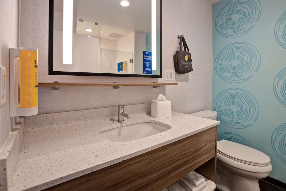 Room, 1 King Bed, Accessible (Roll-In Shower) - Photo 5