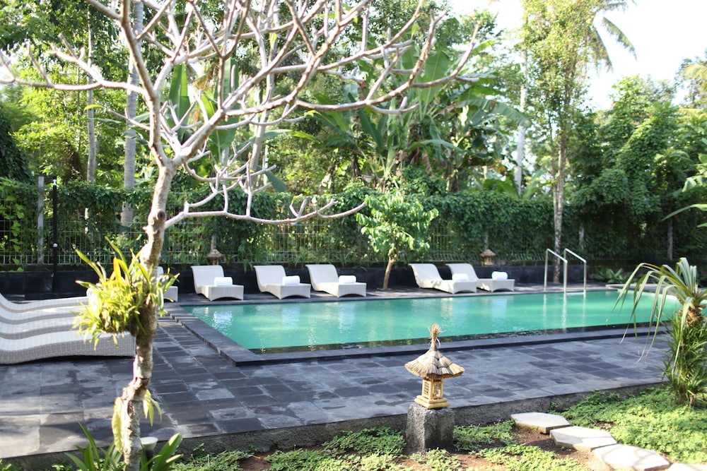 Premier Room, 1 Bedroom, Pool View photo 2