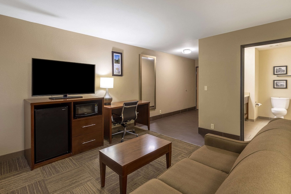 Suite, 1 King Bed, Non Smoking photo 2