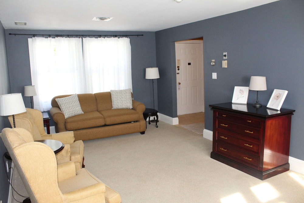 Luxury Studio Suite, 1 King Bed with Sofa bed, Non Smoking, Garden View photo 2