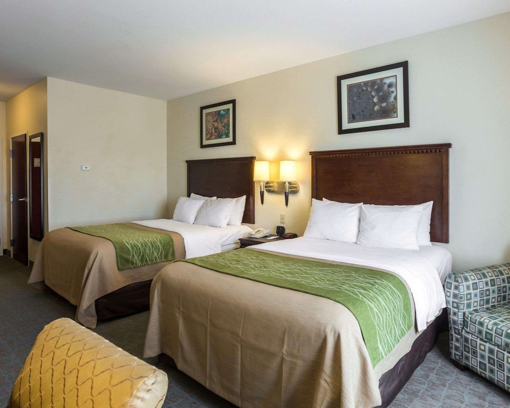 Room, Multiple Beds, Accessible, Non Smoking - Photo 3