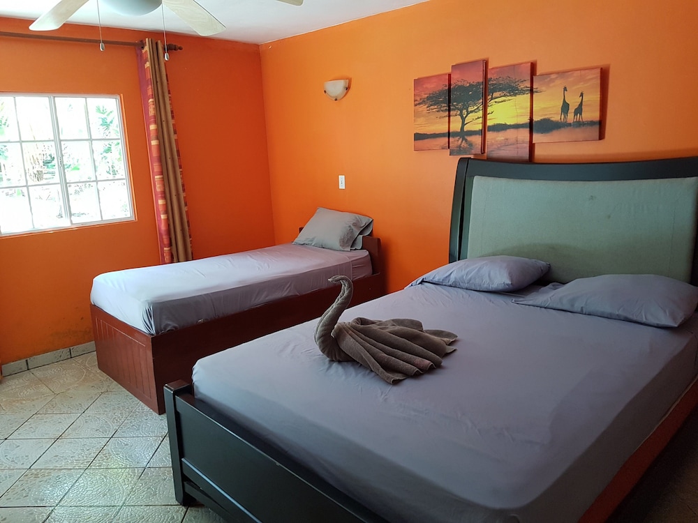 Room, 1 Queen Bed photo 2