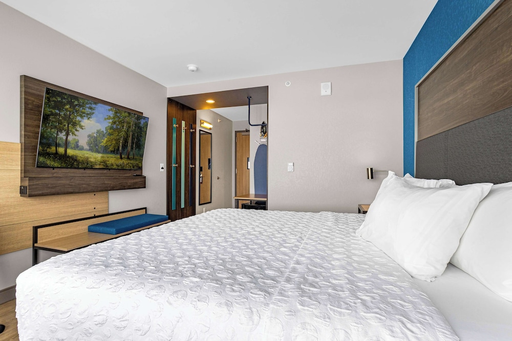 Room, 1 King Bed photo 1