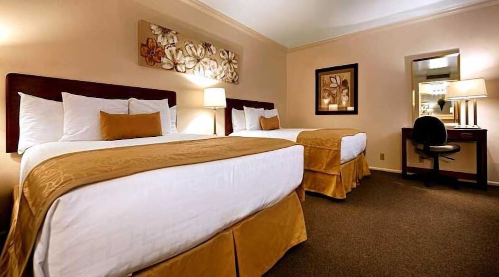 2 Queen Beds photo 2