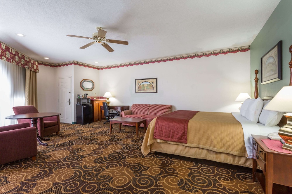 Suite, 1 King Bed photo 1