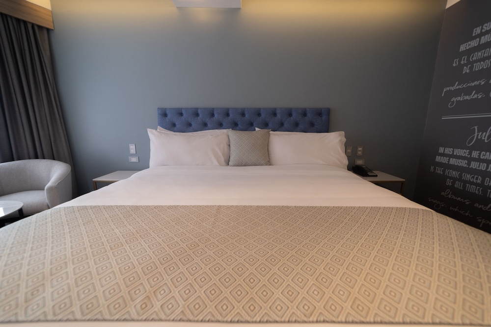 Business Suite, 1 King Bed, Non Smoking photo 3