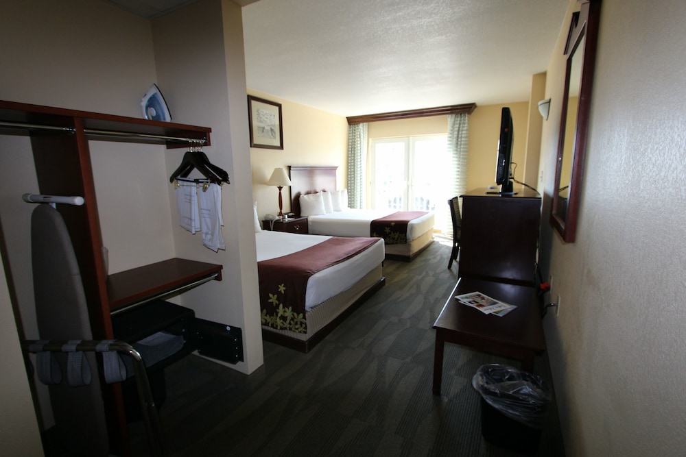 Standard Double Room, Refrigerator & Microwave photo 3